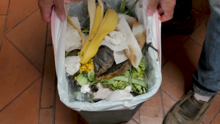 Best Estate Cleanout  in Harrogate, TN